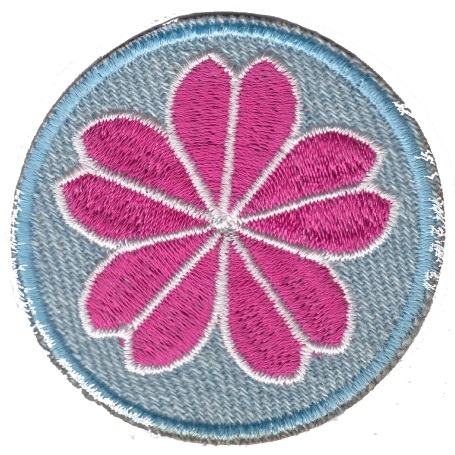 APLIKACIJA ZA TEKSTIL TERMOLEPLJIVA