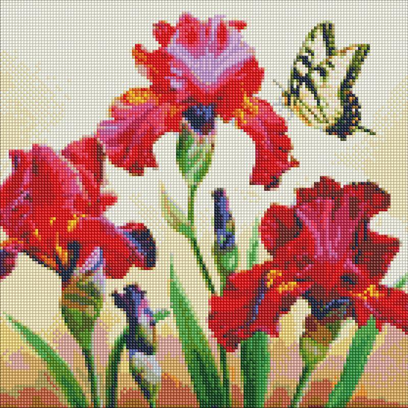 Diamond Mosaic Irirsi 40x40cm