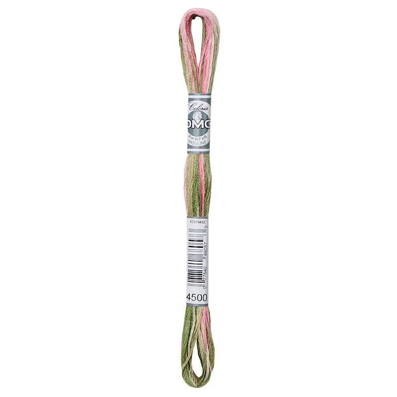 DMC MOULINE COLORIS-4500