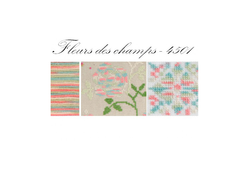 DMC MOULINE COLORIS-4501