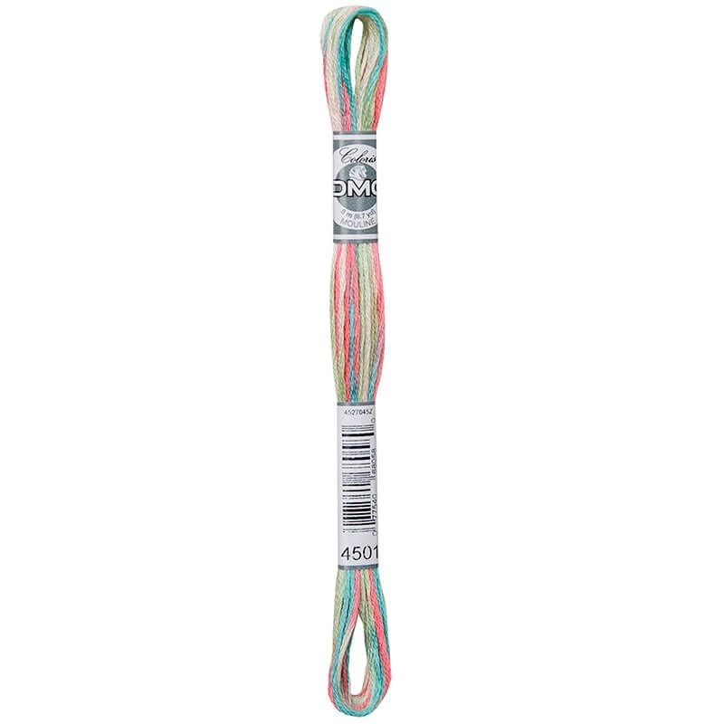 DMC MOULINE COLORIS-4501