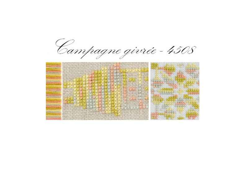 DMC MOULINE COLORIS-4508