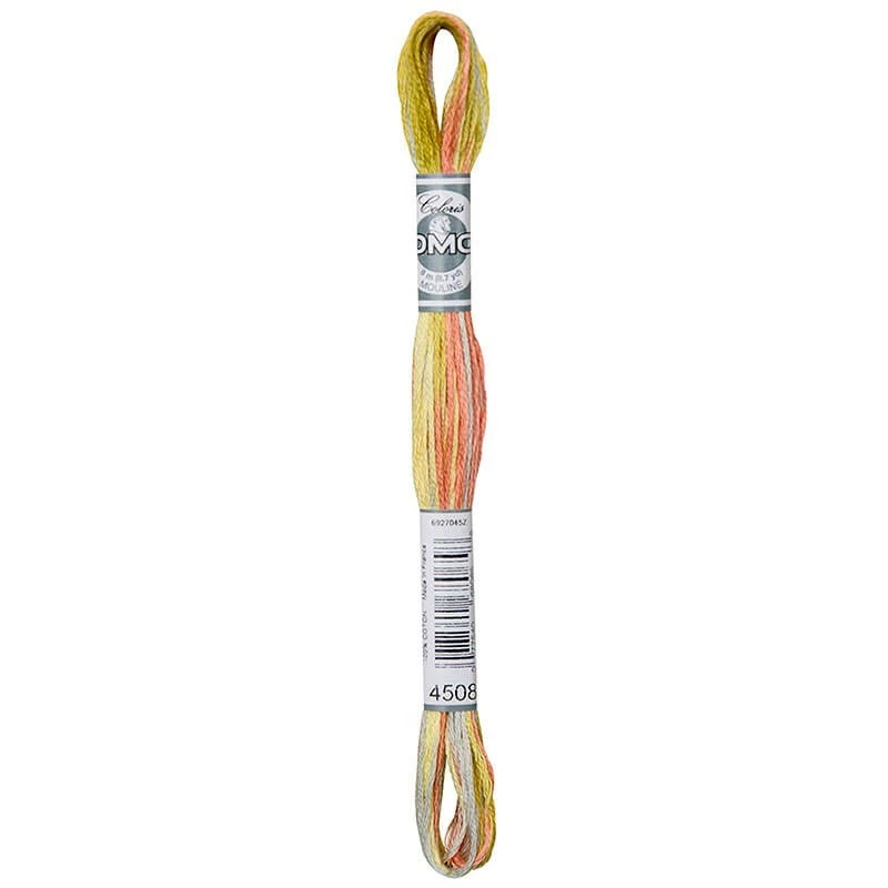 DMC MOULINE COLORIS-4508
