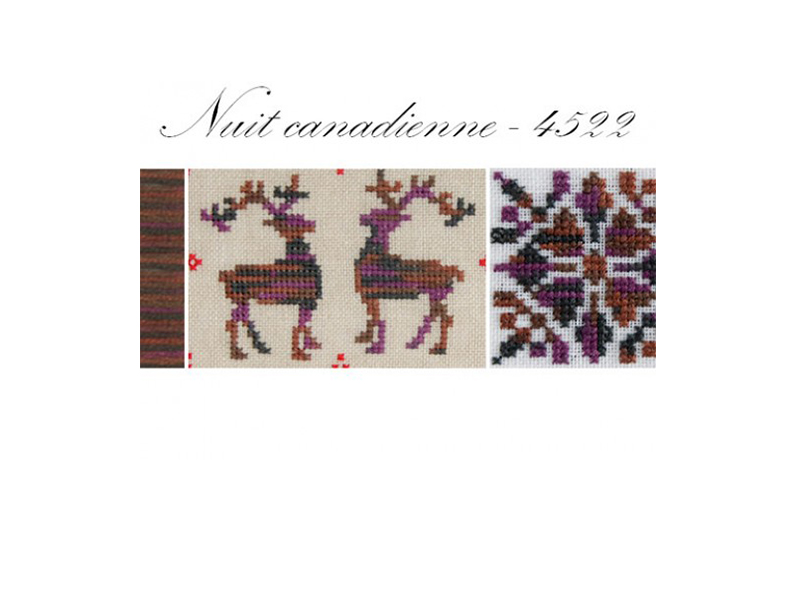 DMC MOULINE COLORIS-4521