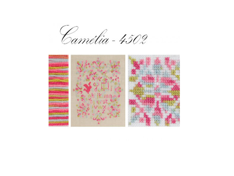 DMC MOULINE COLORIS-4502