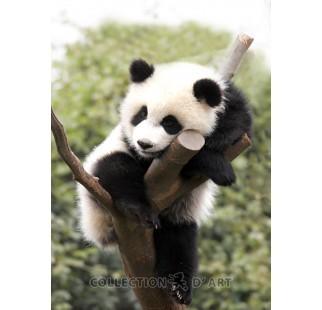 KREATIVNI SET SA PERLICAMA , 27cm x 38cm, Collection D`Art