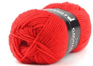 PLASSARD-GAGNANTE-919