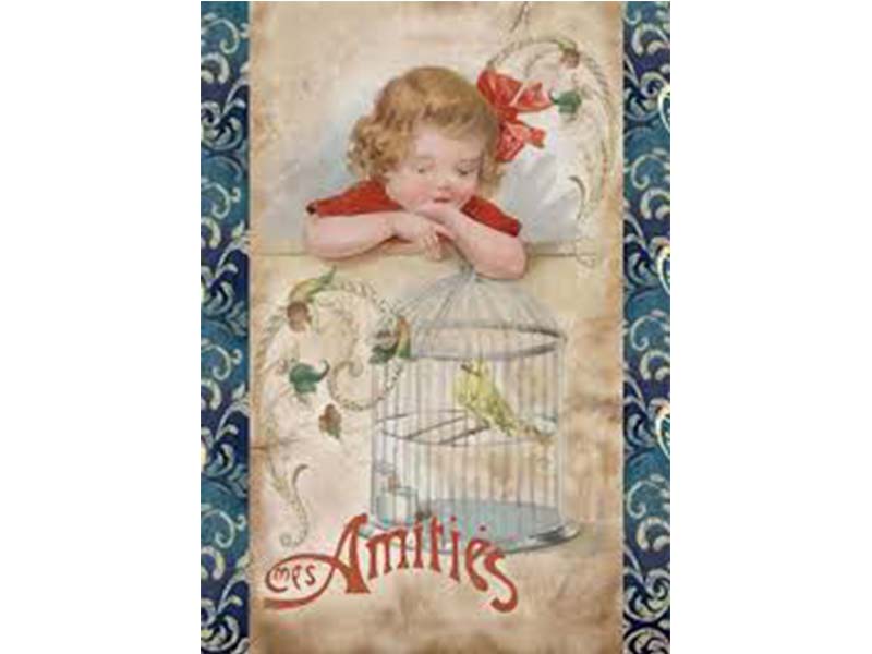 Štampani filc - Amities